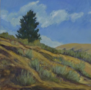 High Desert Juniper  12"x12"  oil