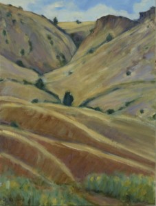 High Desert Hills  9"x12"  Oil